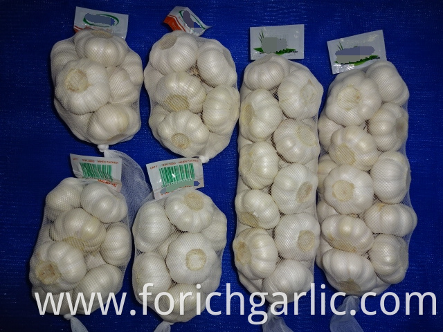 Pure Garlic New Crop 2019